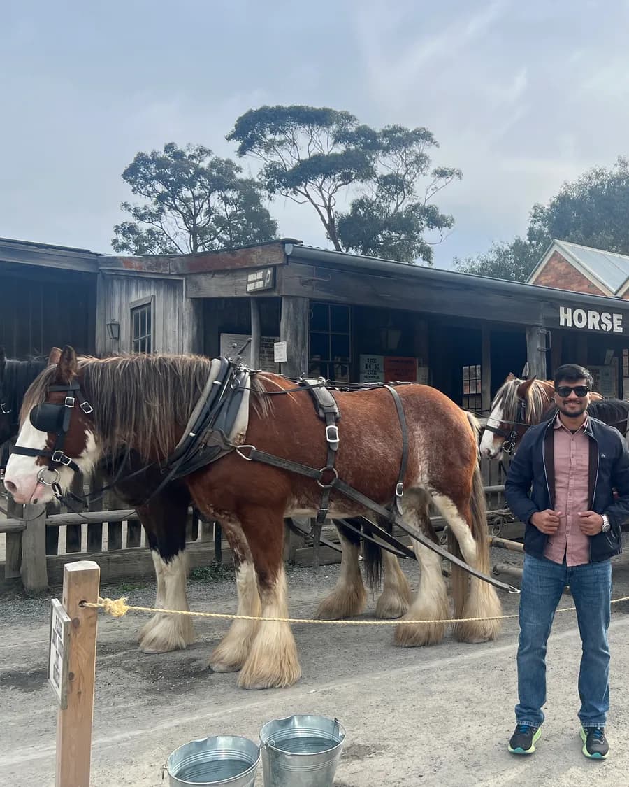 Sandeep standing beside Clydesdale horses in a heritage gold-rush town